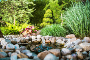 well landscaped pond feature