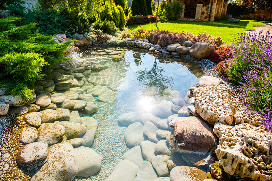 Well landscaped backyard with pond