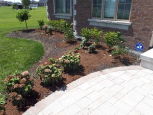 A curved row of blooming hydrangea bushes is planted in a mulched garden bed alongside a light-colored stone patio. The patio overlooks a vast, well-manicured lawn with several large suburban houses in the background under a clear blue sky.