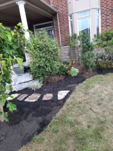 lawn under construction salix nurseries