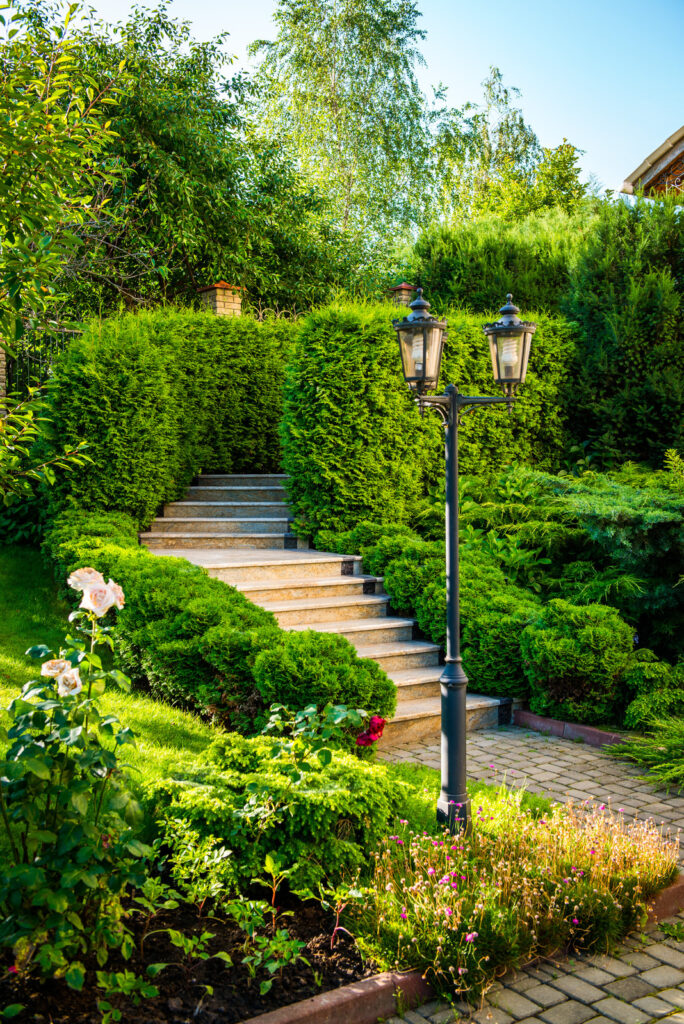 Stairs leading up to a lush green garden